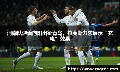 权威比分